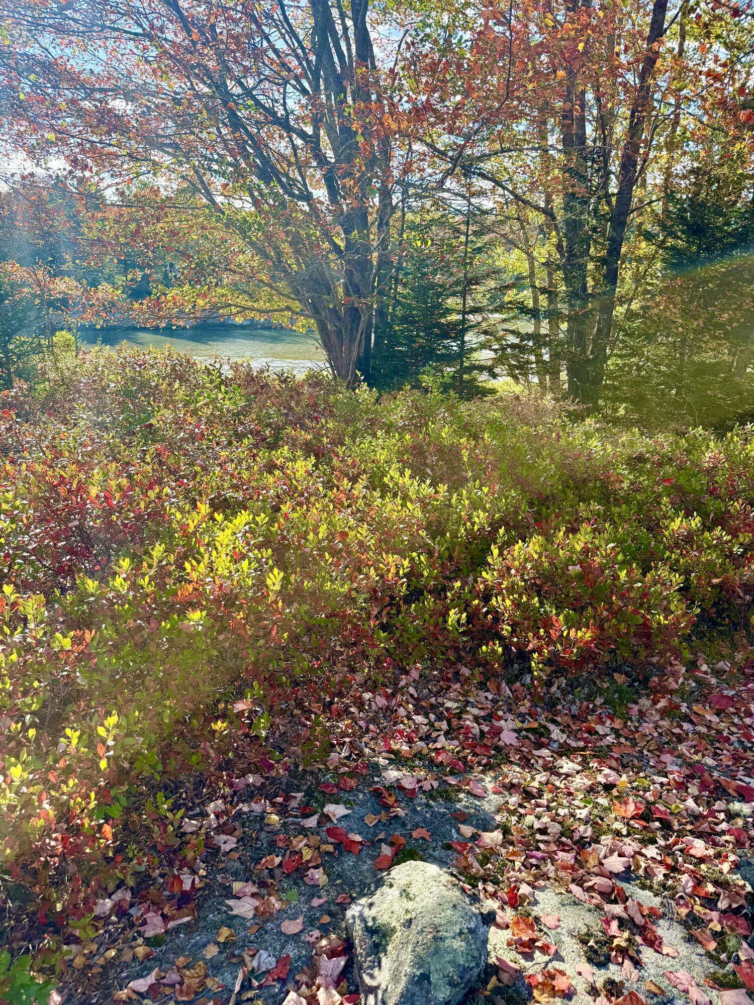 006-60 Round The Island Road Vinalhaven ME 04863