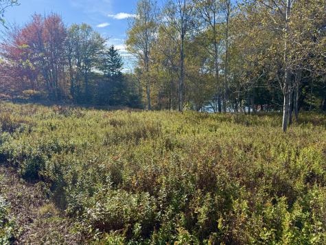 006-60 Round The Island Road Vinalhaven ME 04863