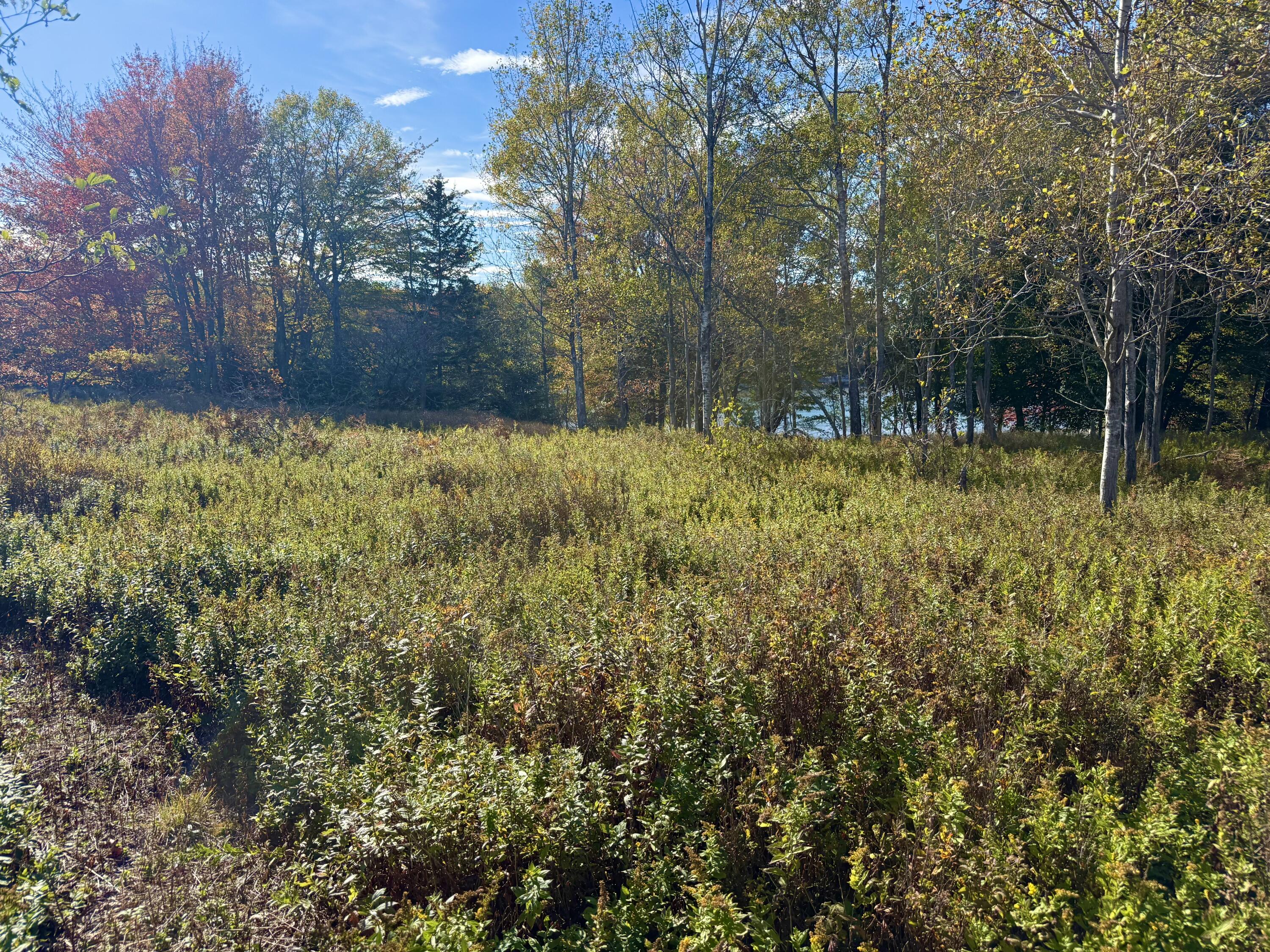 006-60 Round The Island Road Vinalhaven ME 04863