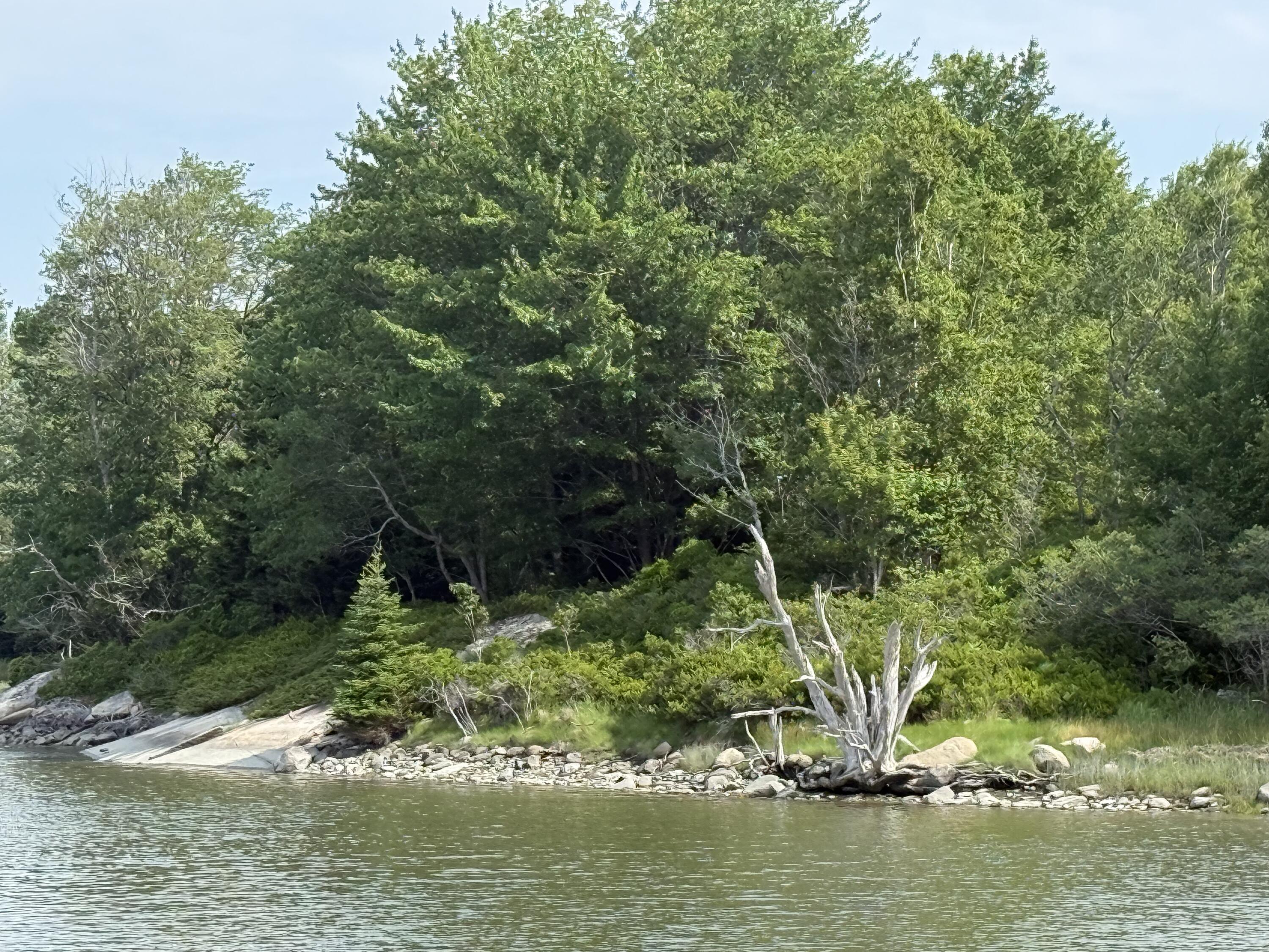 006-60 Round The Island Road Vinalhaven ME 04863