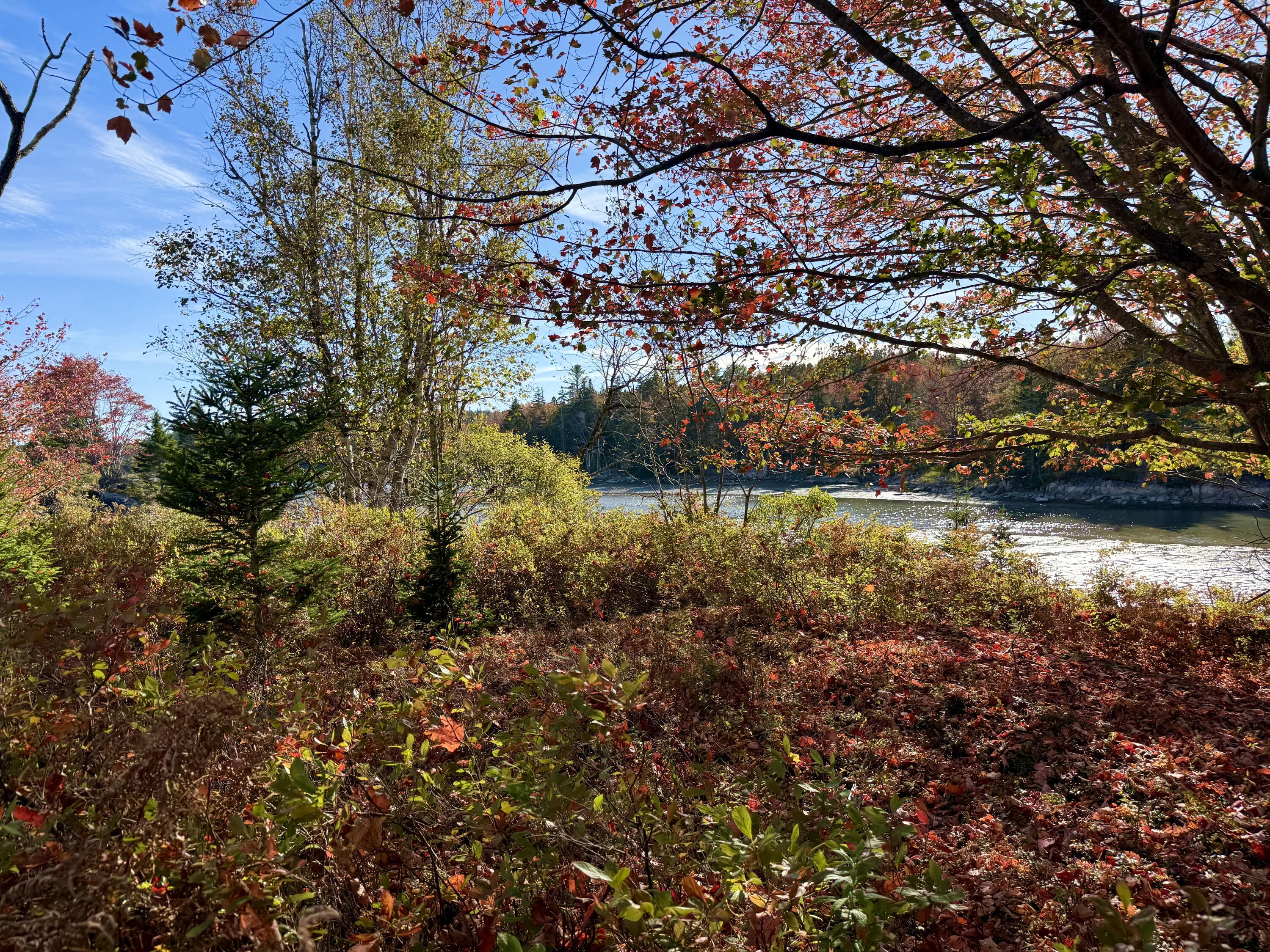 006-60 Round The Island Road Vinalhaven ME 04863