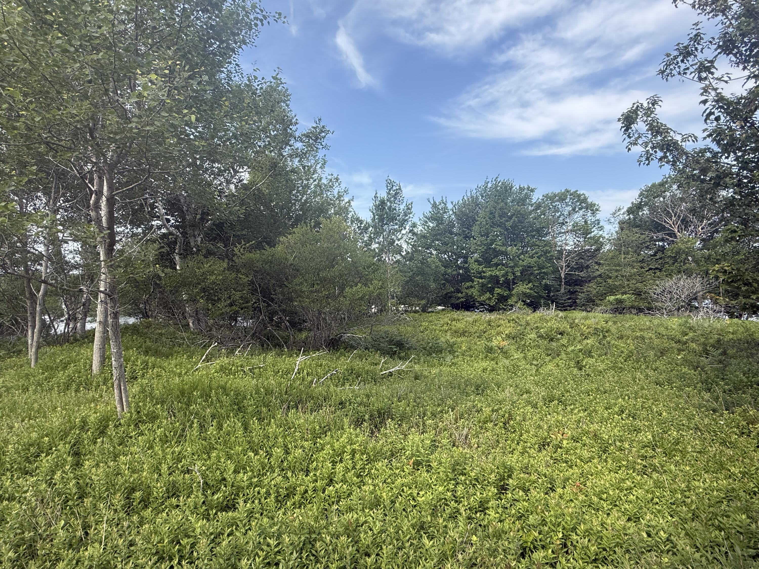 006-60 Round The Island Road Vinalhaven ME 04863