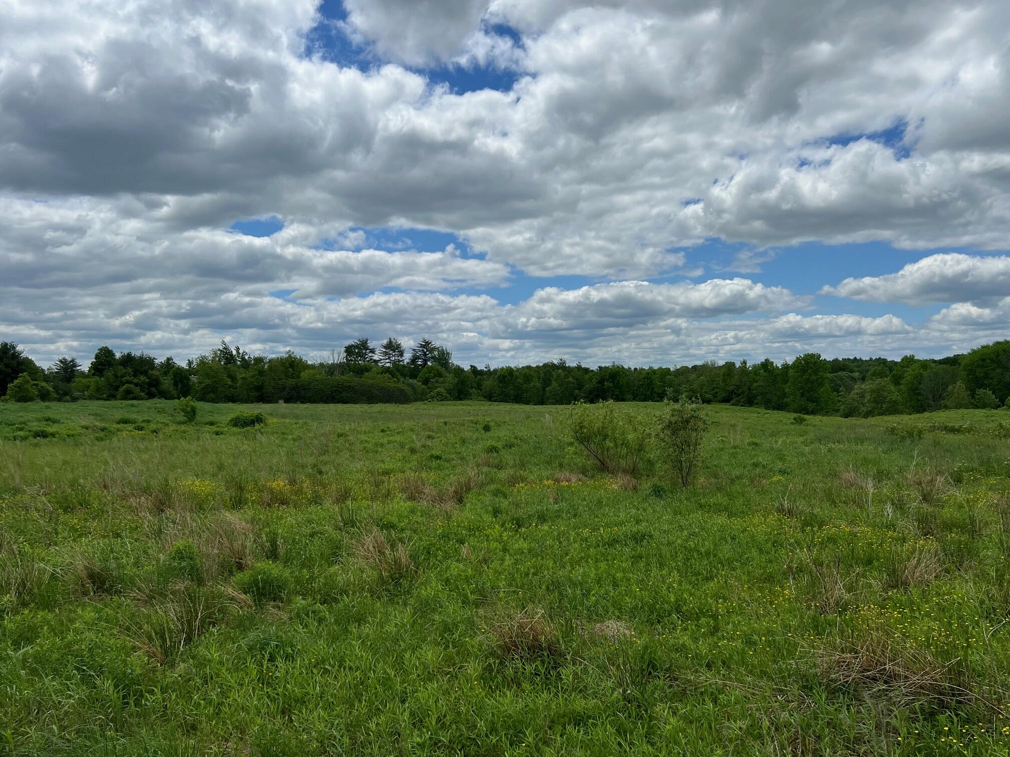 Map 36 Lot 13 Off Ridge Road Fairfield ME 04937