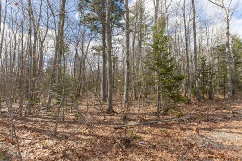 Lot 14-1-1 Bucksport Road Ellsworth ME 04605