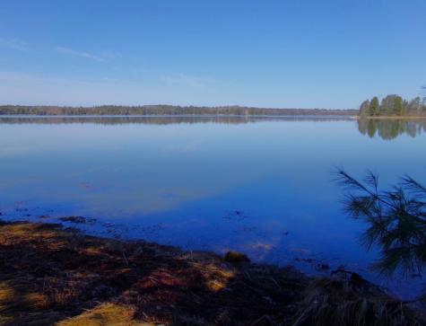 Lot 3e Rogers Point Road Steuben ME 04680