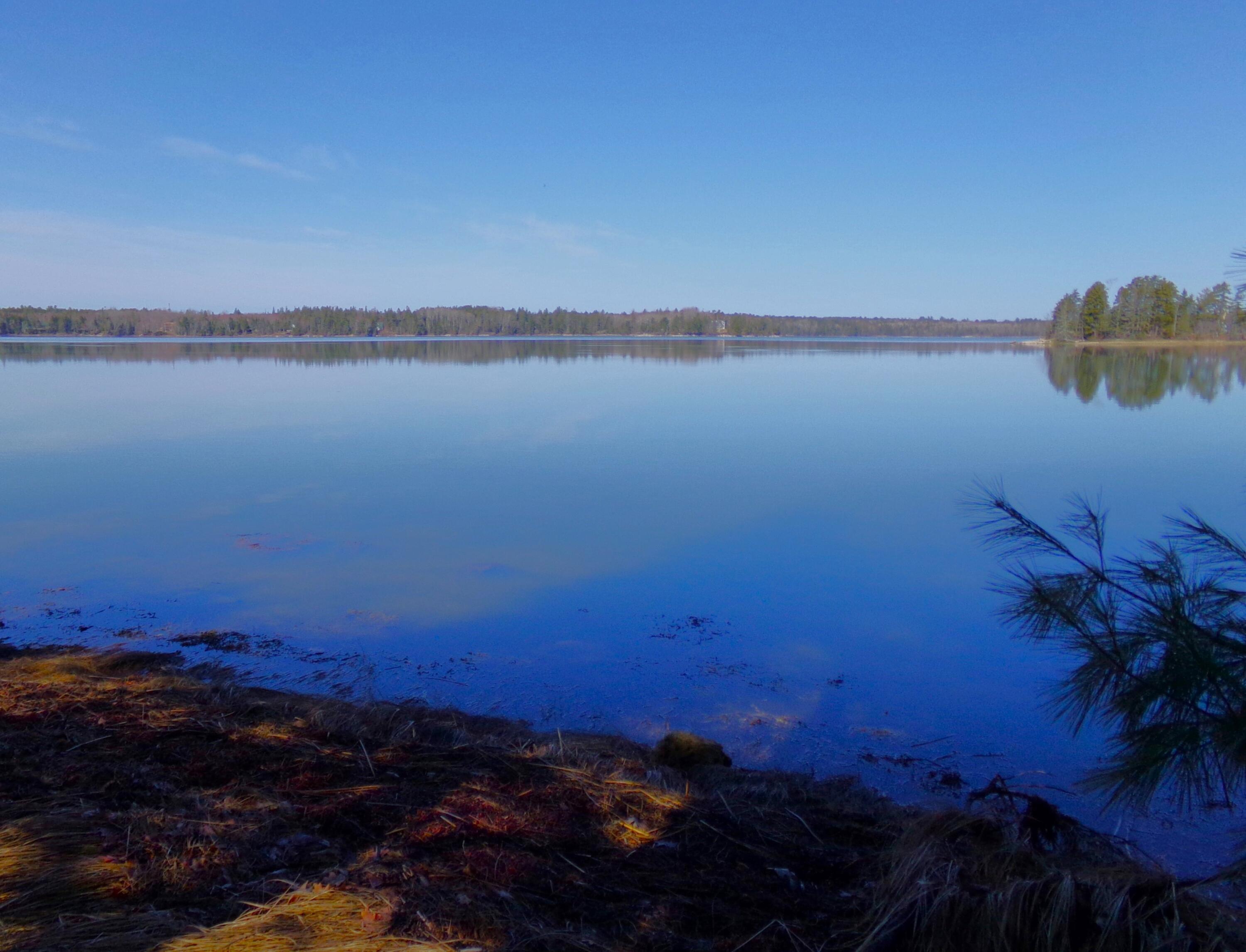 Lot 3e Rogers Point Road Steuben ME 04680