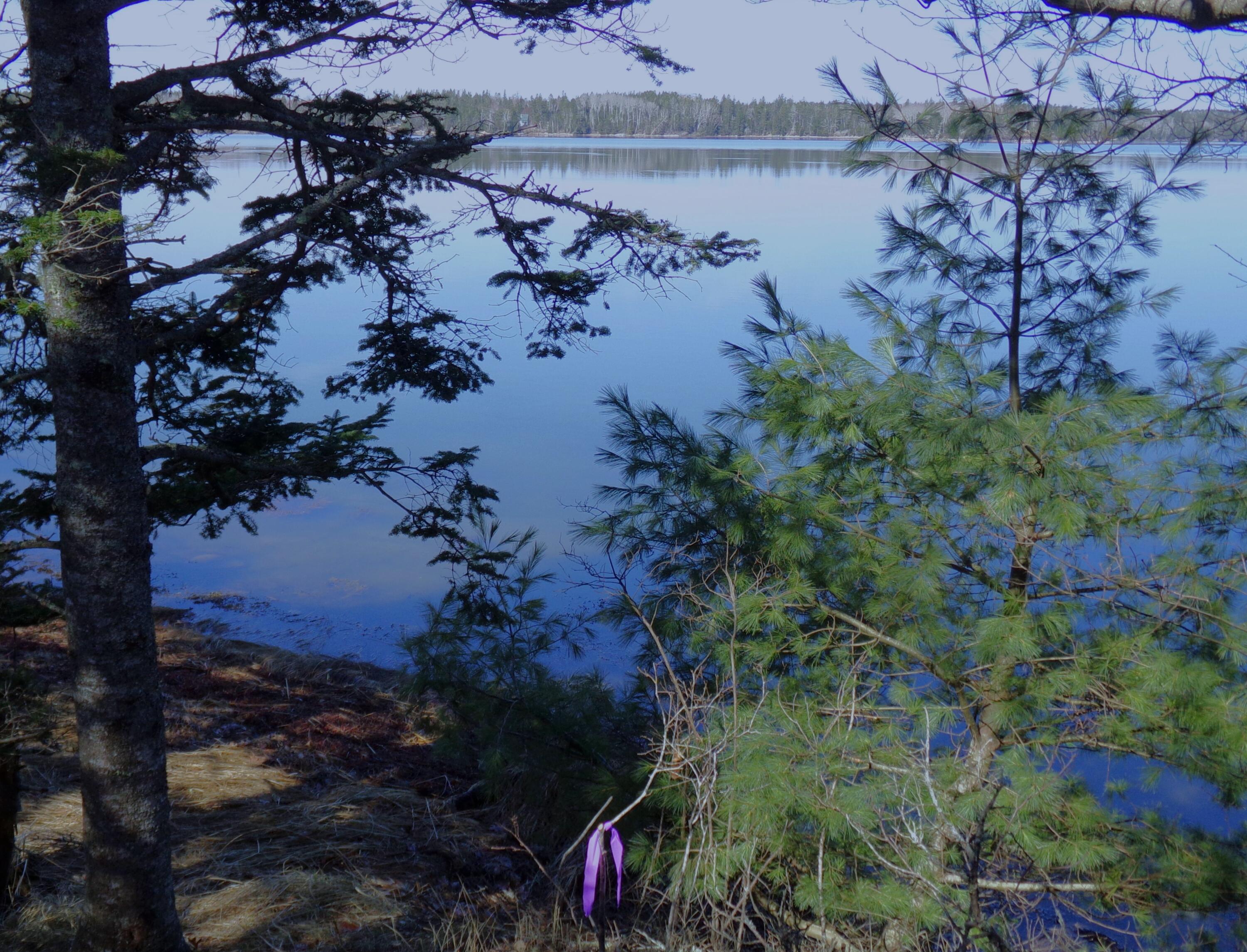 Lot 3e Rogers Point Road Steuben ME 04680