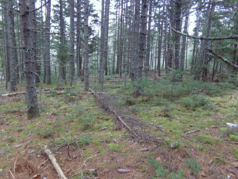 Lot 3e Rogers Point Road Steuben ME 04680