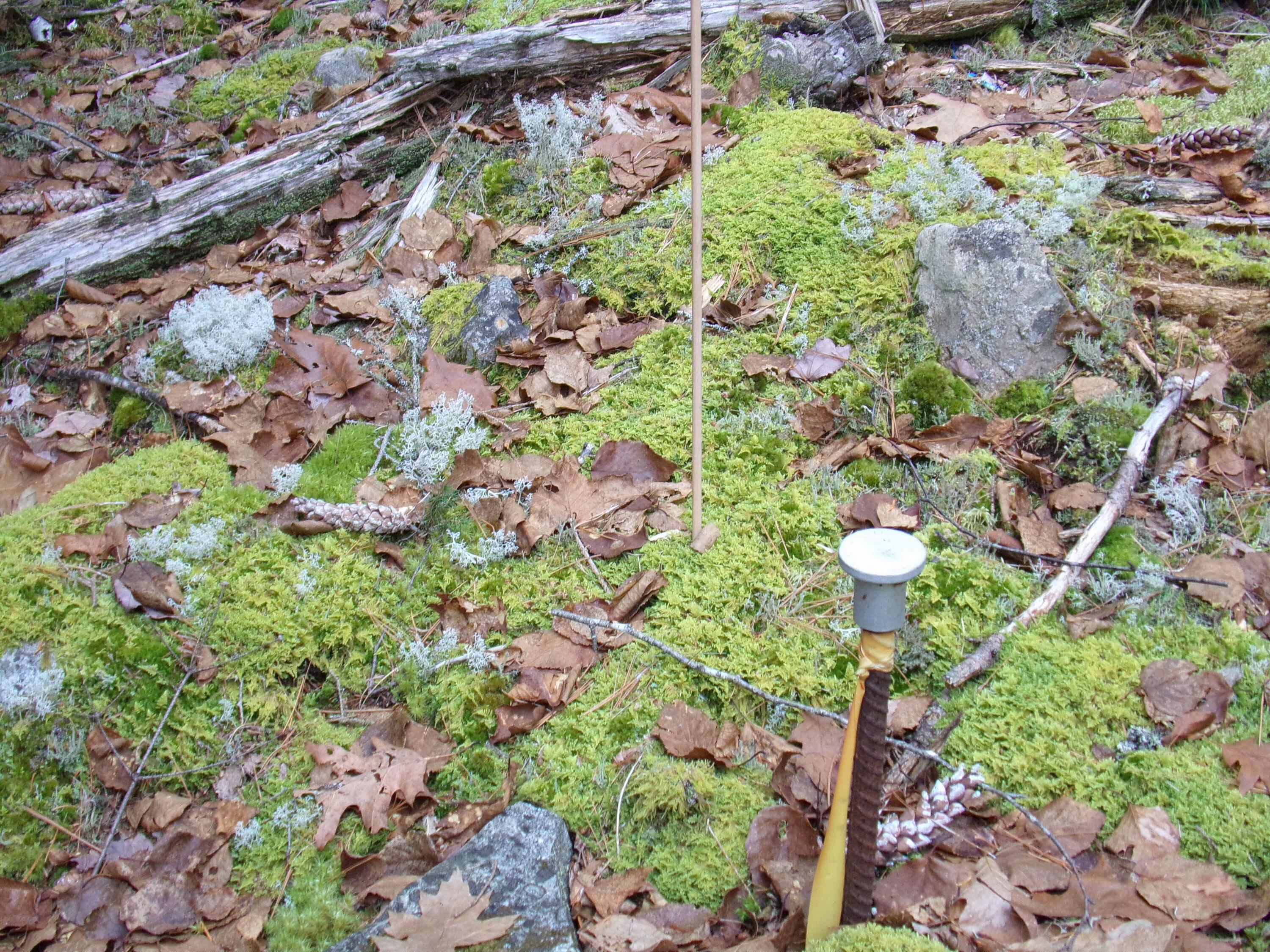 Lot 3e Rogers Point Road Steuben ME 04680