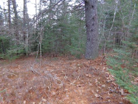 Lot 3e Rogers Point Road Steuben ME 04680