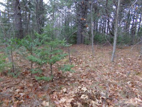 Lot 3e Rogers Point Road Steuben ME 04680