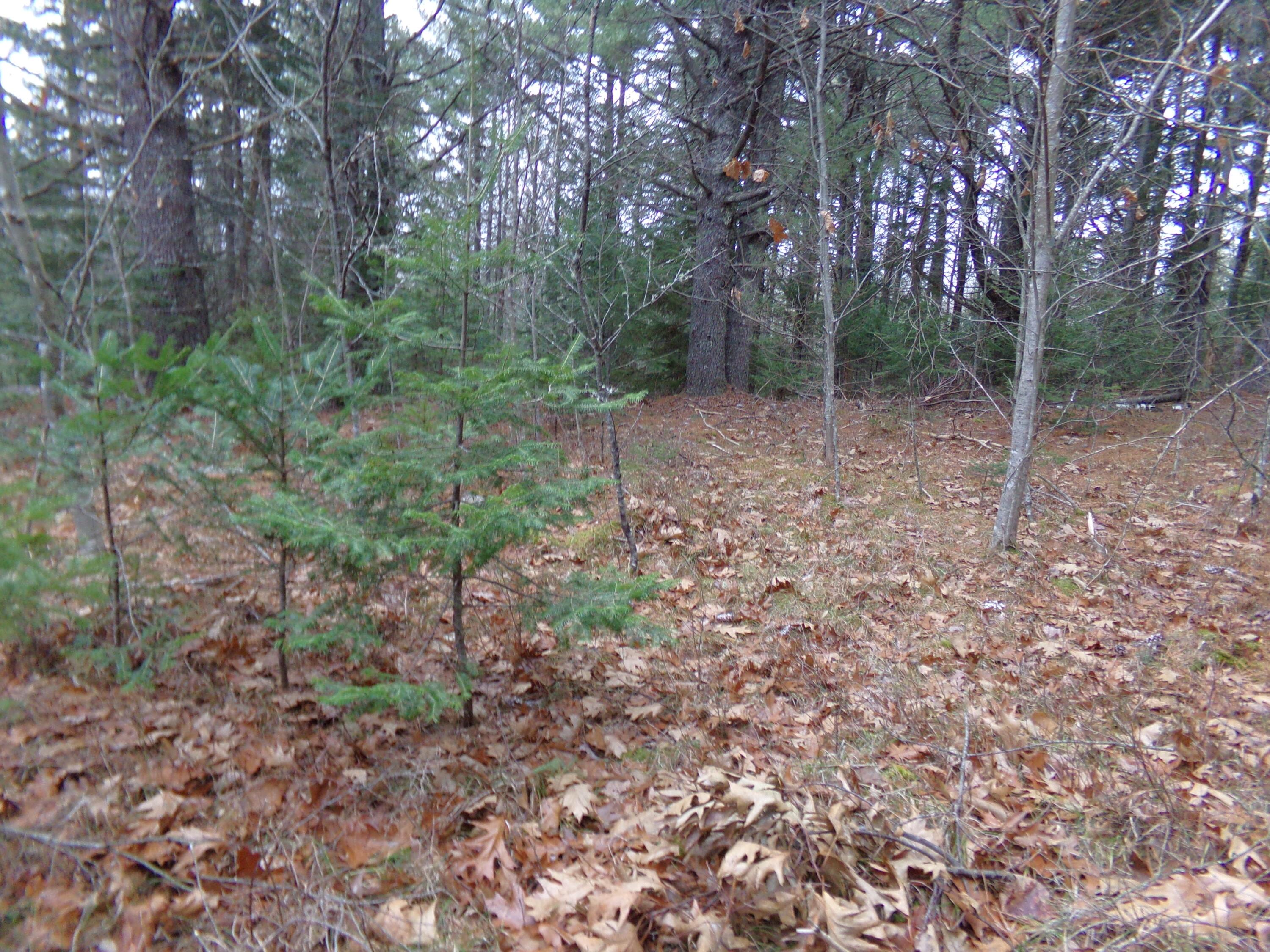 Lot 3e Rogers Point Road Steuben ME 04680