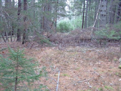 Lot 3e Rogers Point Road Steuben ME 04680