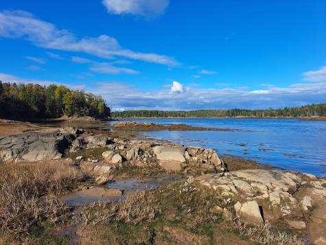 185 Coffins Neck Road Lubec ME 04691