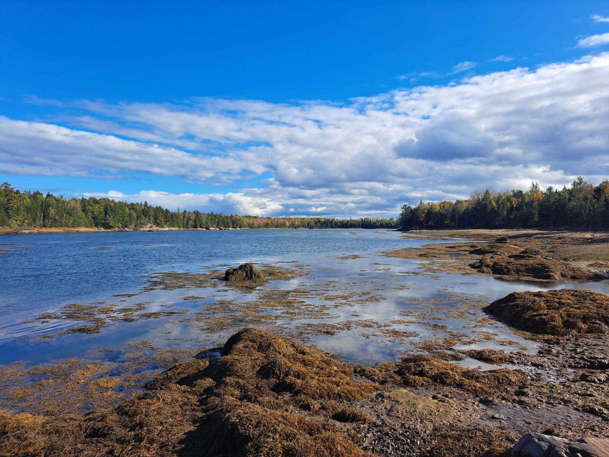 185 Coffins Neck Road Lubec ME 04691