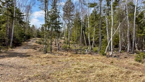 185 Coffins Neck Road Lubec ME 04691
