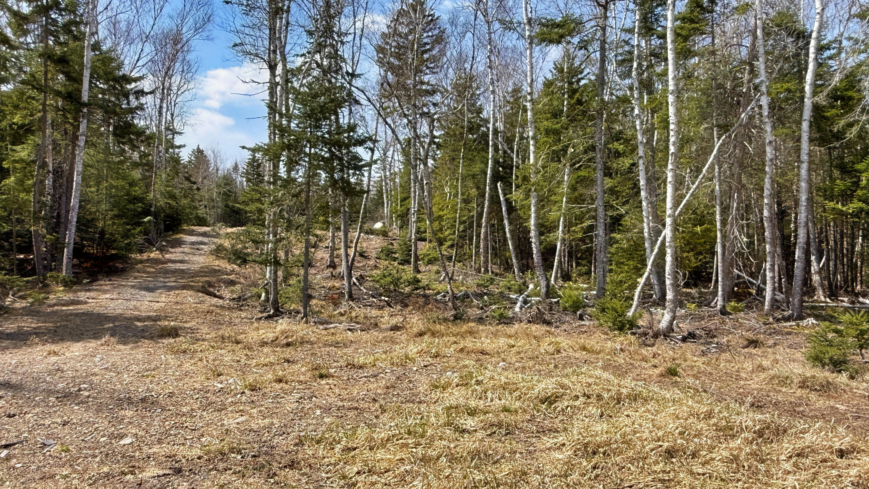 185 Coffins Neck Road Lubec ME 04691