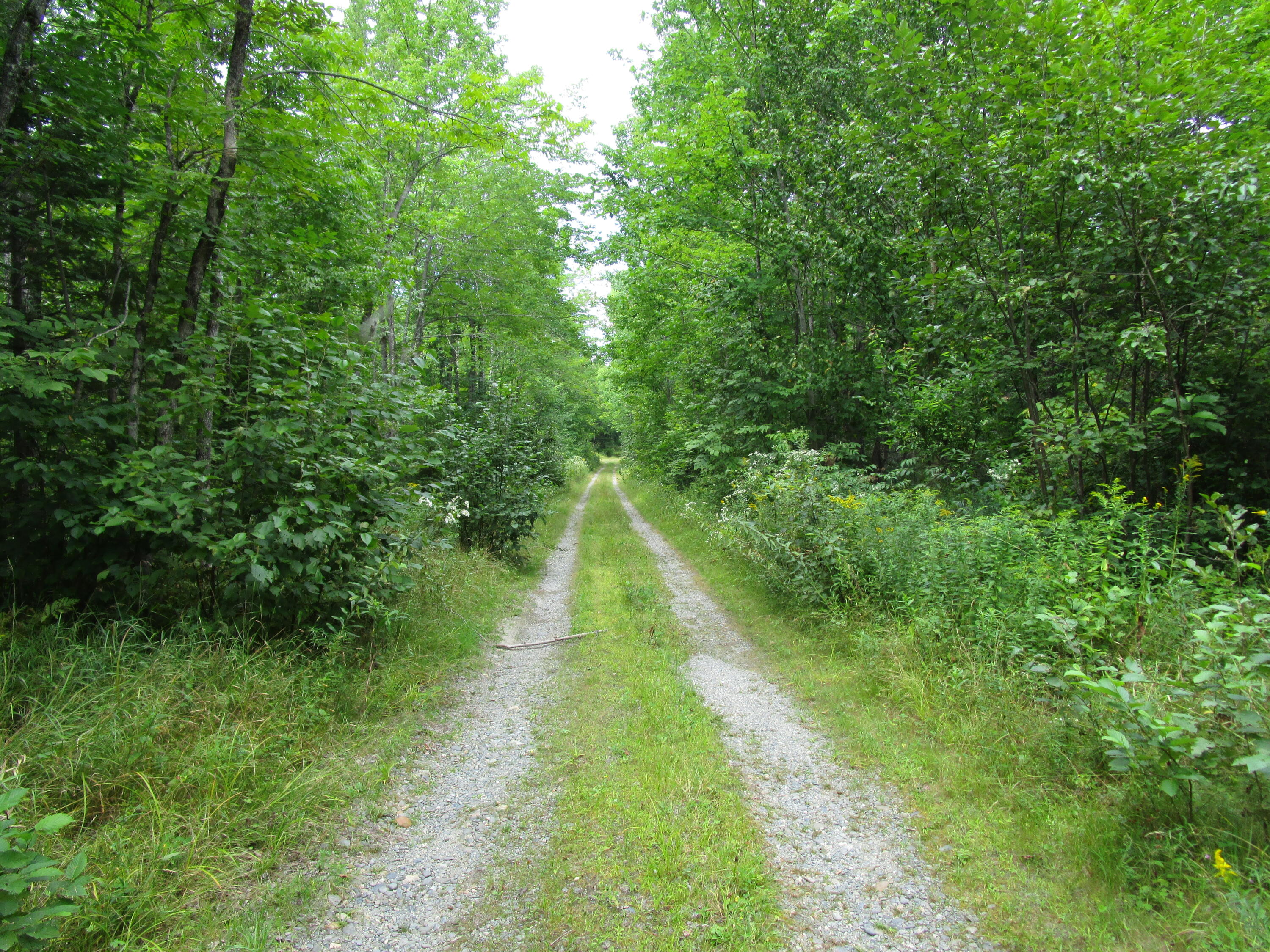 Tbd Randall Ridge Maxfield Maine Real Estate Listing MLS 1535684