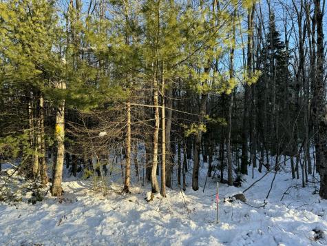 0 Ivory Hill Road Otisfield ME 04270
