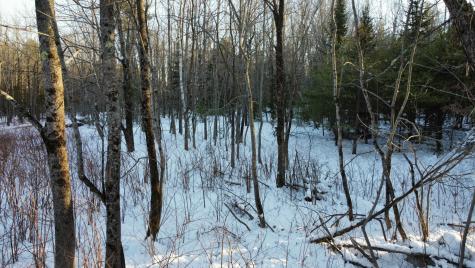 0 Ivory Hill Road Otisfield ME 04270