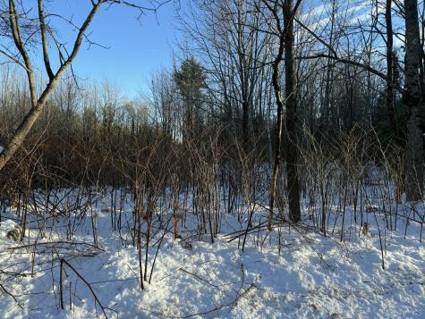 0 Ivory Hill Road Otisfield ME 04270