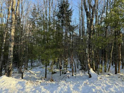 0 Ivory Hill Road Otisfield ME 04270