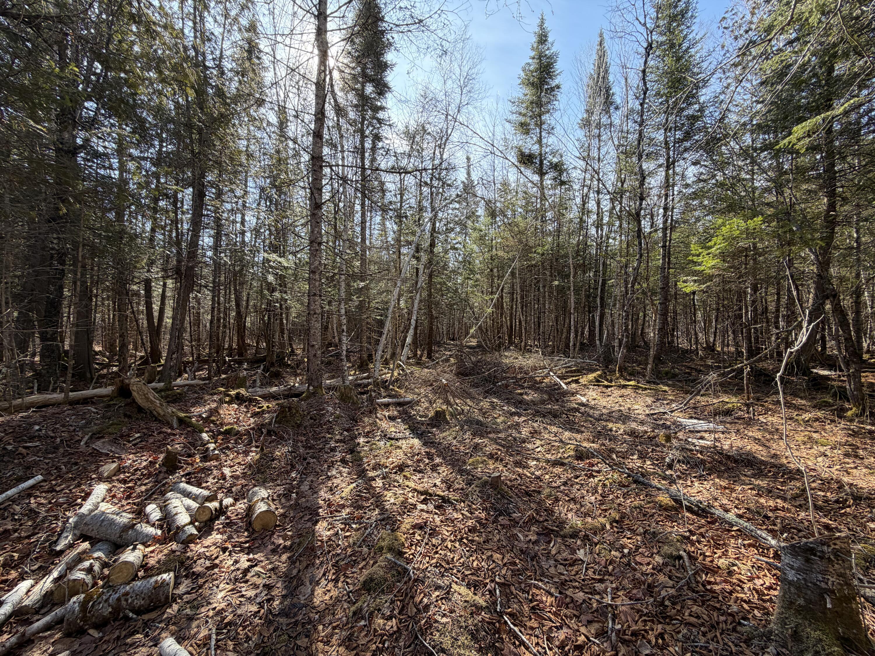 358 Puddledock Road Charleston ME 04422