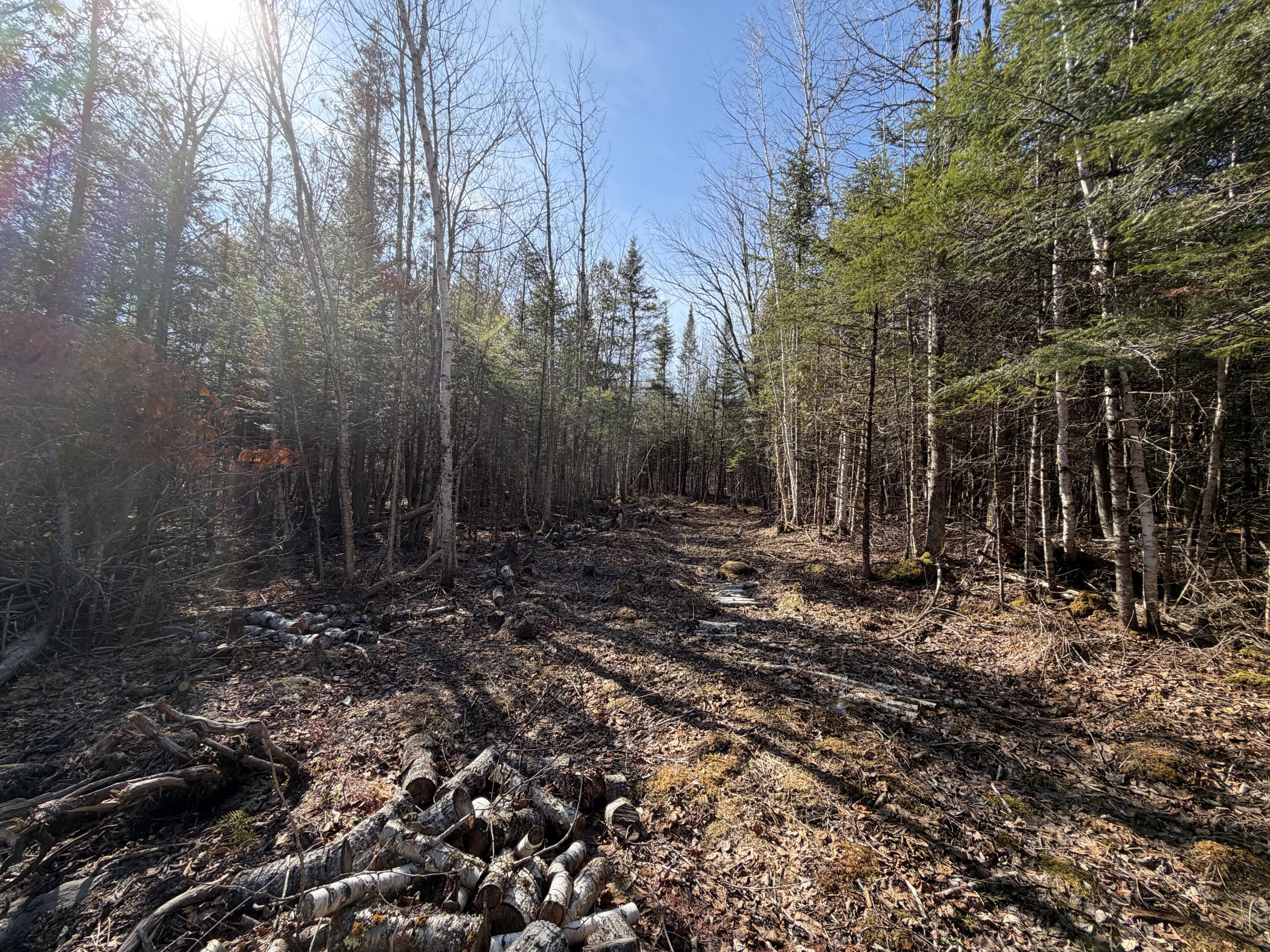 358 Puddledock Road Charleston ME 04422