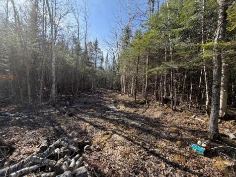 358 Puddledock Road Charleston ME 04422