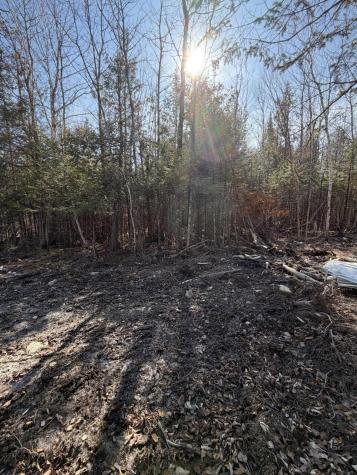 358 Puddledock Road Charleston ME 04422