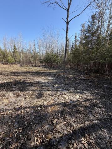358 Puddledock Road Charleston ME 04422