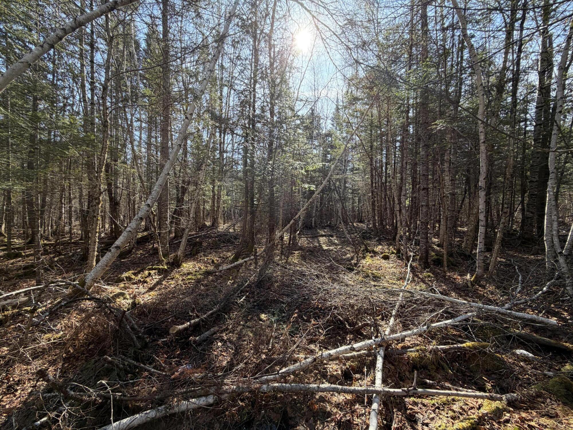 358 Puddledock Road Charleston ME 04422
