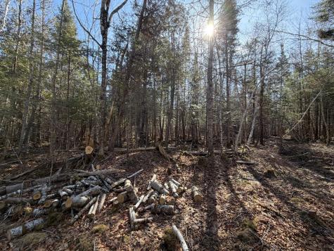 358 Puddledock Road Charleston ME 04422