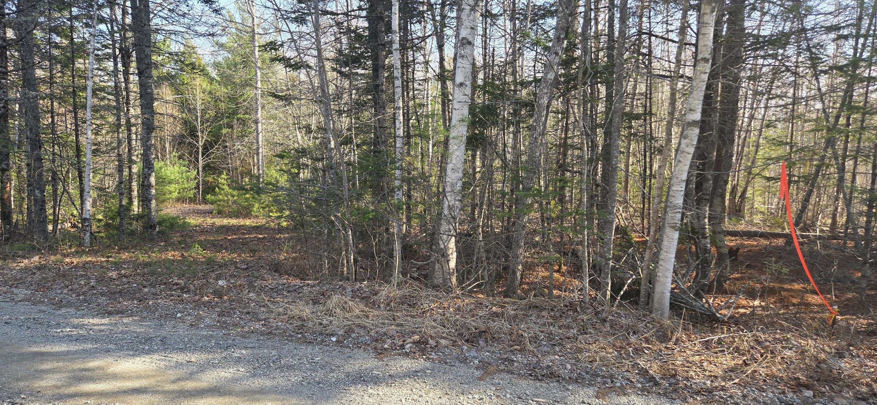 M97LOT 3-3 Peninsula Drive Ellsworth ME 04605