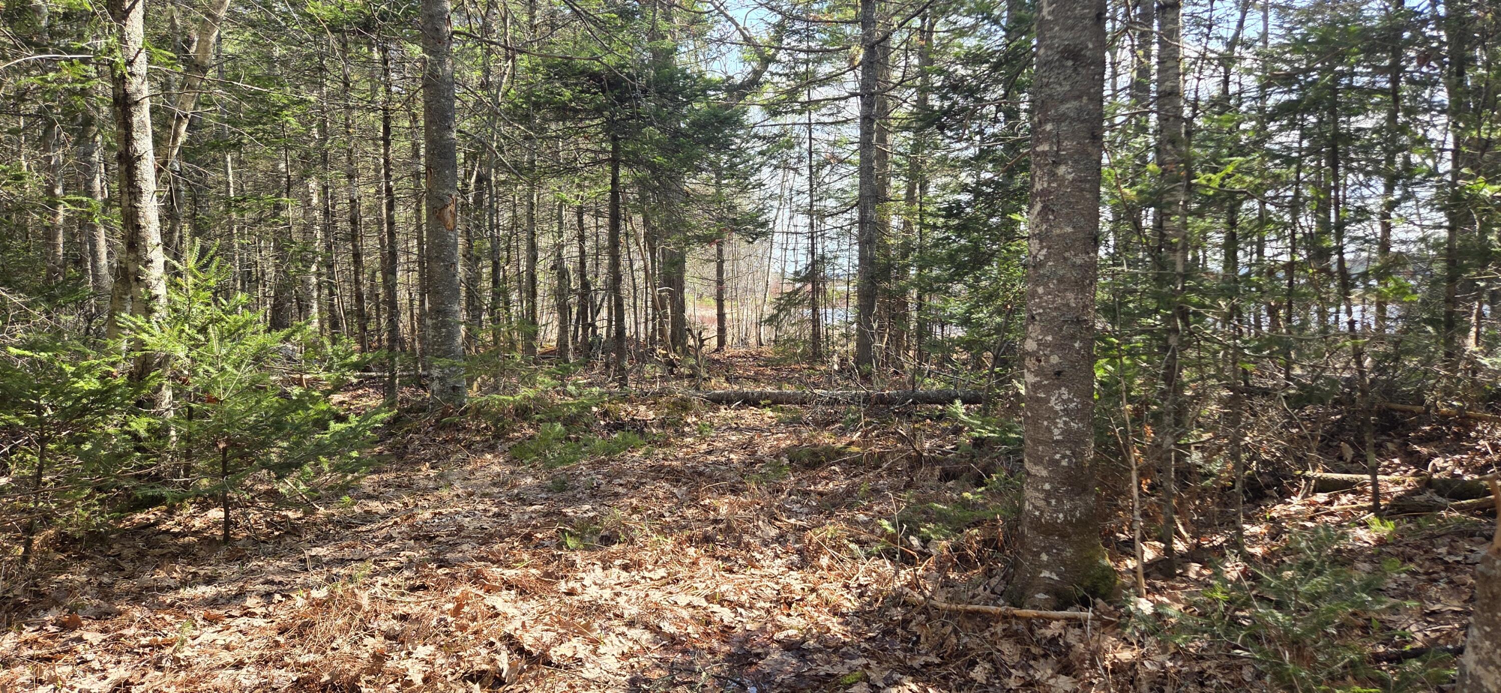 M97LOT 3-3 Peninsula Drive Ellsworth ME 04605
