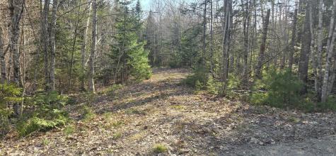 M97LOT 3-3 Peninsula Drive Ellsworth ME 04605