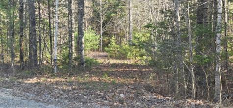 M97LOT 3-3 Peninsula Drive Ellsworth ME 04605