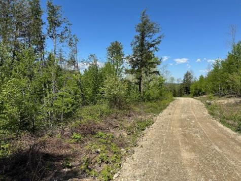 Lot 11 Mt. Jefferson Heights Lee ME 04455