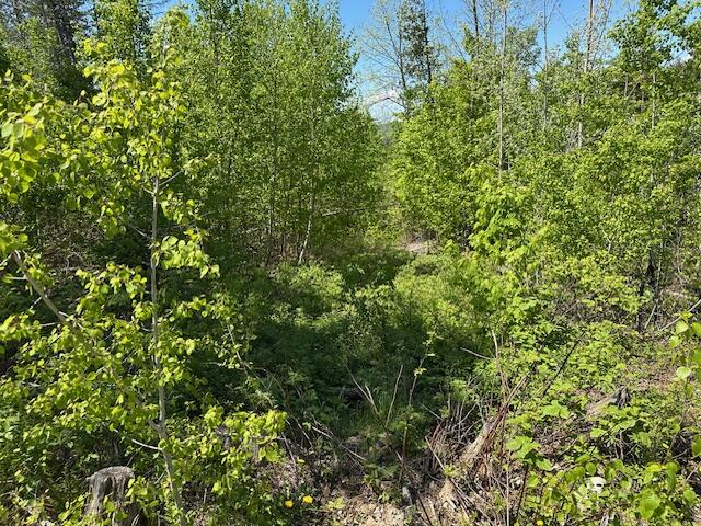 Lot 11 Mt. Jefferson Heights Lee ME 04455