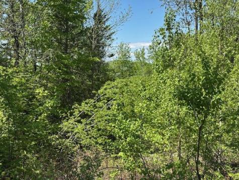 Lot 11 Mt. Jefferson Heights Lee ME 04455