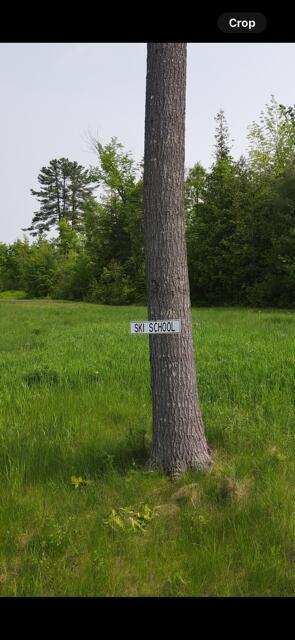 Lot 11 Mt. Jefferson Heights Lee ME 04455