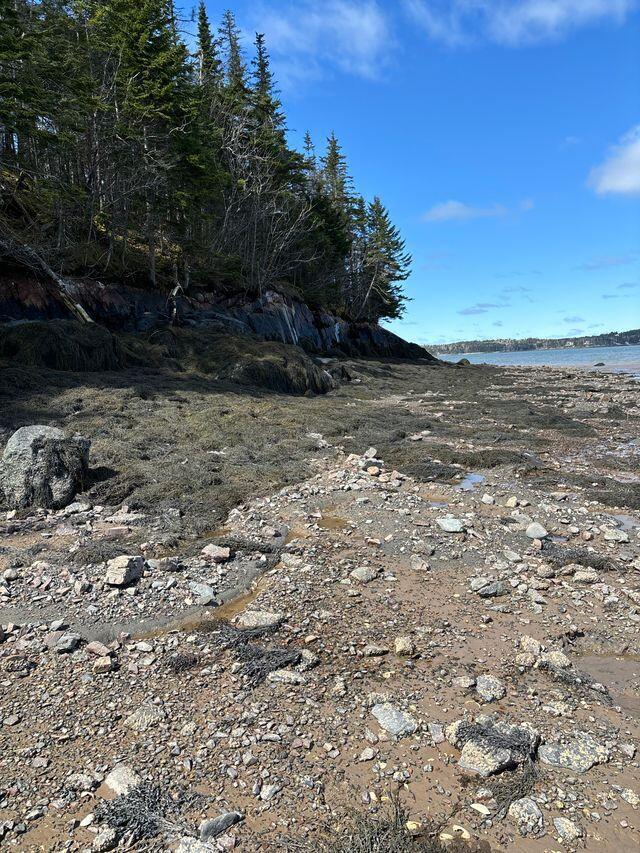 Lot 17a Yoho Head Road Machiasport ME 04655