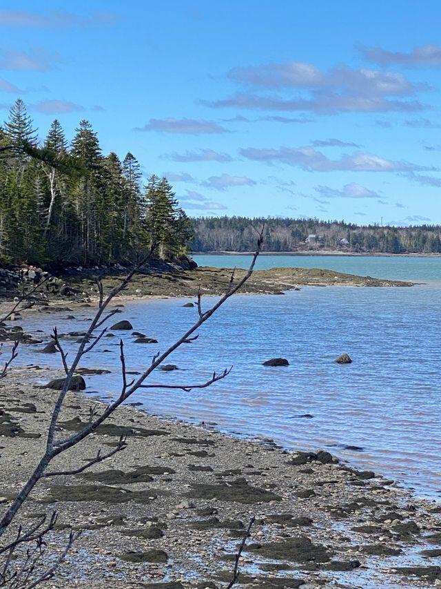 Lot 17a Yoho Head Road Machiasport ME 04655