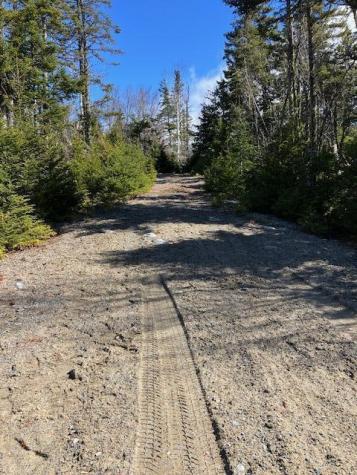 Lot 17a Yoho Head Road Machiasport ME 04655