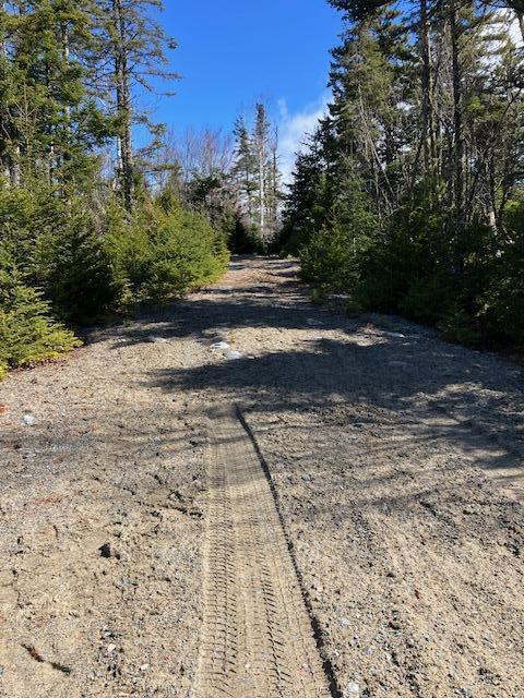 Lot 17a Yoho Head Road Machiasport ME 04655