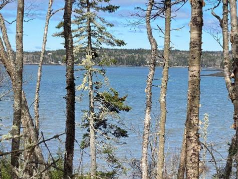 Lot 17a Yoho Head Road Machiasport ME 04655
