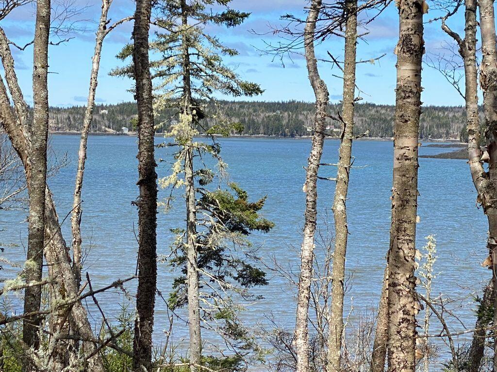 Lot 17a Yoho Head Road Machiasport ME 04655