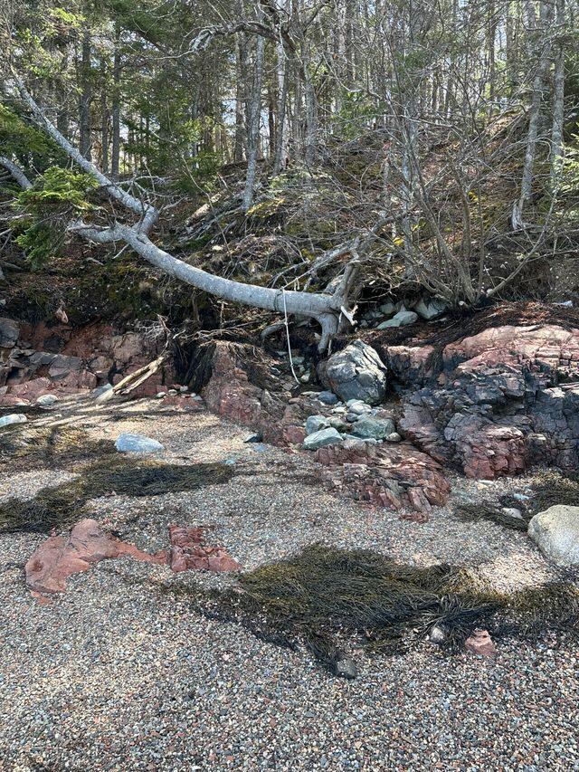 Lot 17a Yoho Head Road Machiasport ME 04655