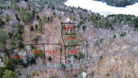 Lot 5 Peterson Road Bowerbank ME 04426