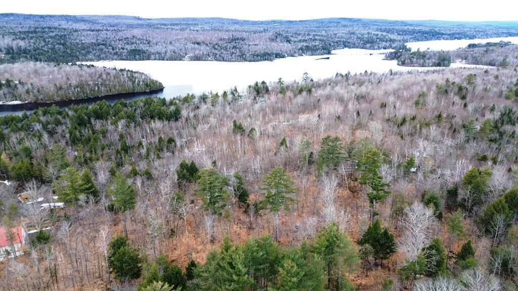 Lot 5 Peterson Road Bowerbank ME 04426